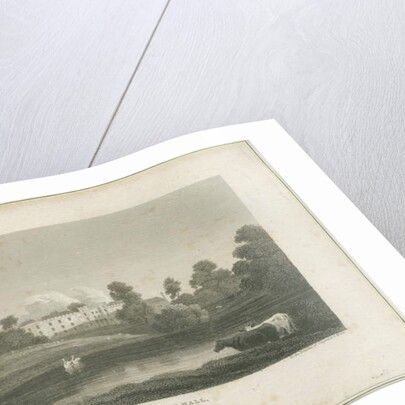 Enville Hall by J. P. Neale