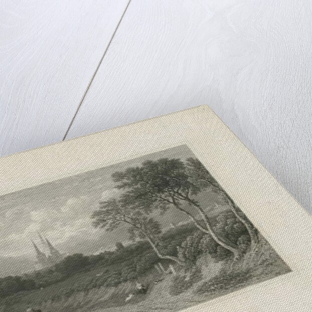 Lichfield Cathedral - West View by School English