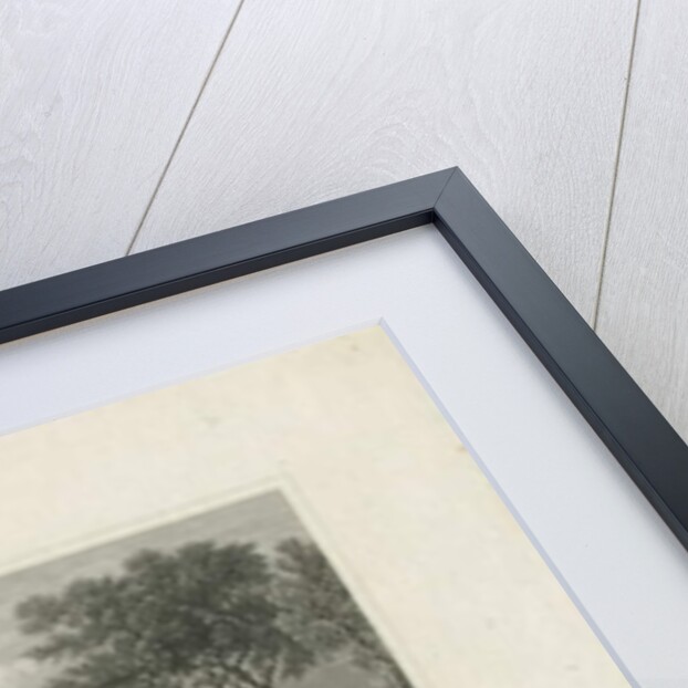 Lichfield Cathedral - West View by School English