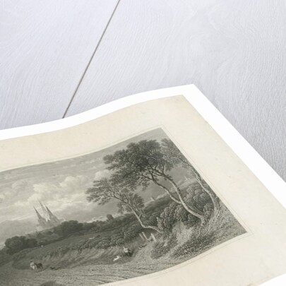 Lichfield Cathedral - West View by School English