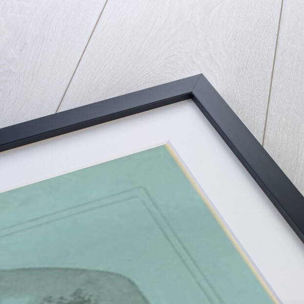 Etruria - 'North Staffordshire Infirmary': line engraving by School English