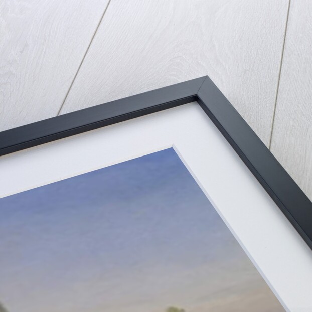 Lichfield Cathedral - South West View by John Buckler