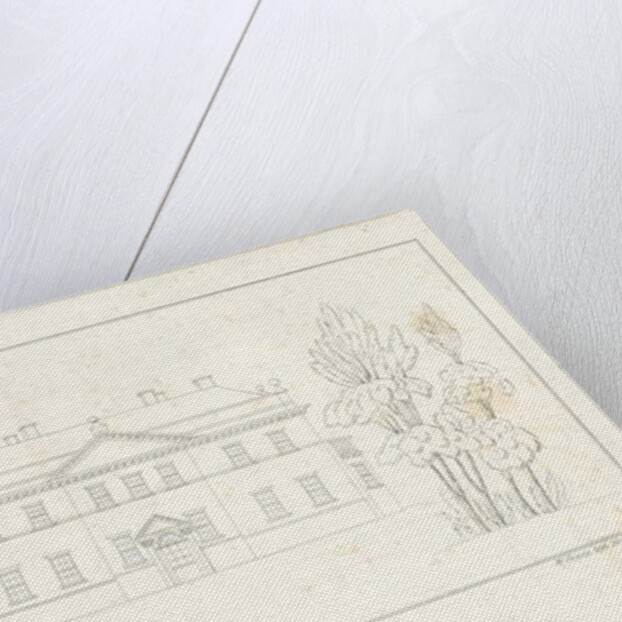 Whieldon's Grove by School English