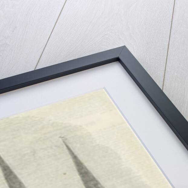 Lichfield Cathedral - West Front: woodcut engraving by School English