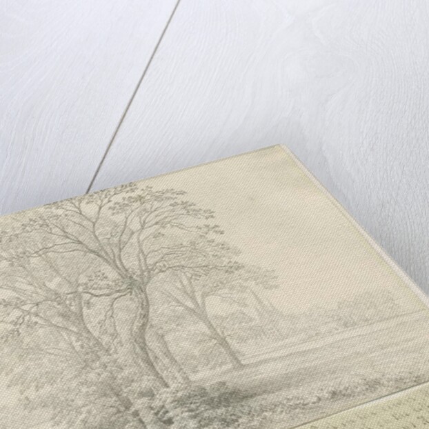 Lichfield - View across Stowe Pool by John Allport