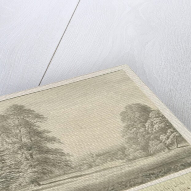 Lichfield Cathedral - View from Aldershaw by John Allport