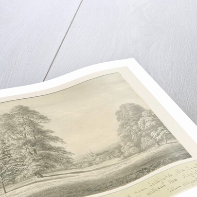 Lichfield Cathedral - View from Aldershaw by John Allport