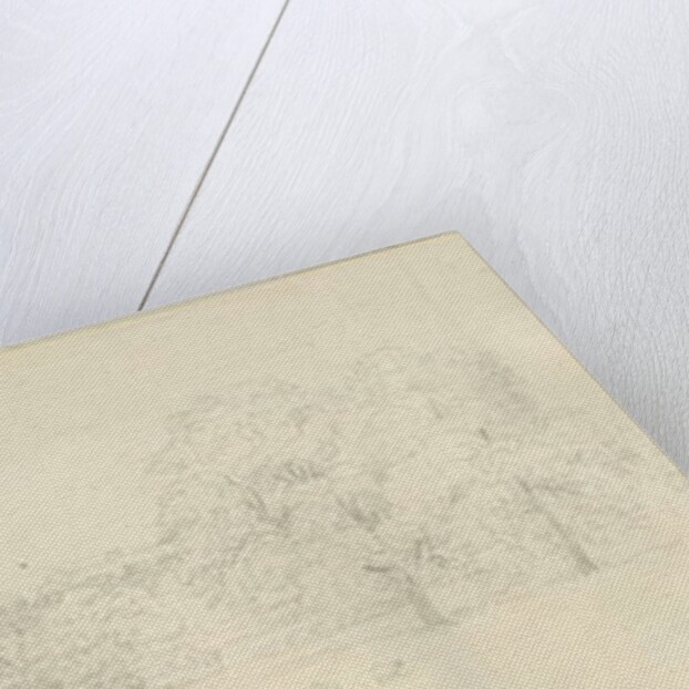 Lichfield - North View by Henry Curzon Allport