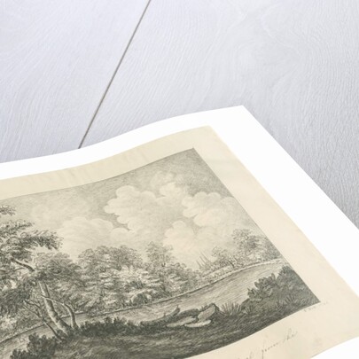 Lichfield Cathedral - West South West view: pen drawing, 1836 by John Robert Fernyhough