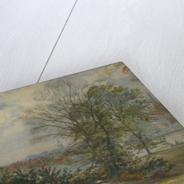 Lichfield - Distant View: by School English