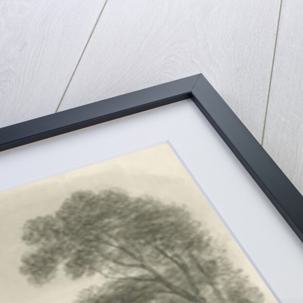 Lichfield Cathedral - North West View by John Buckler