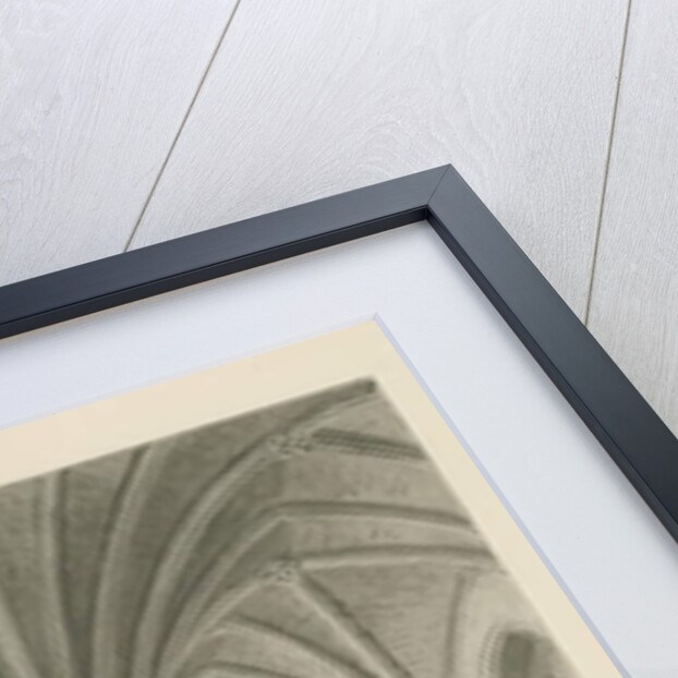 Interior of Lichfield Cathedral - Library above Chapter House: sepia drawing, 1806 by John Buckler
