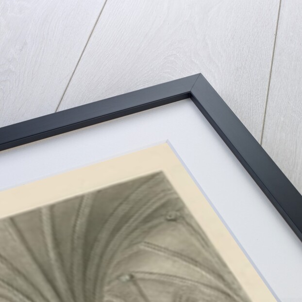 Interior of Lichfield Cathedral - Chapter House by John Buckler
