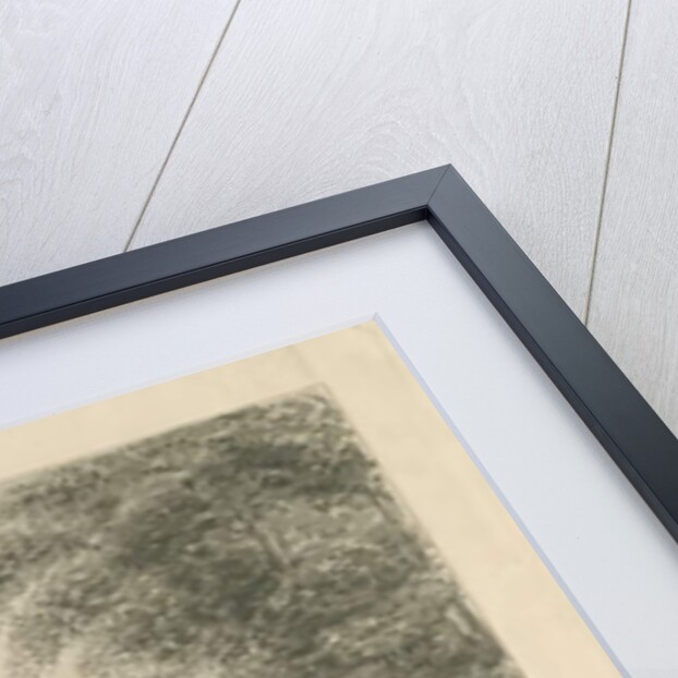 Lichfield - The Deanery in The Close by John Buckler