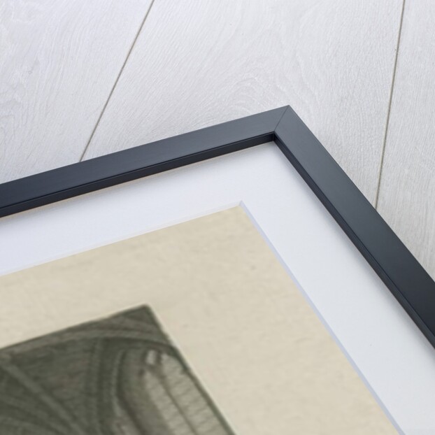 Interior of Lichfield Cathedral - Chapter House: steel engraving, nd [c 1815] by James Storer