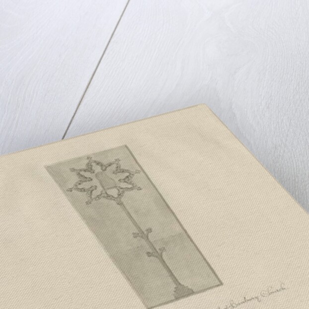 Hanbury Church - Gravestone: sepia drawing, 1839 by John Buckler