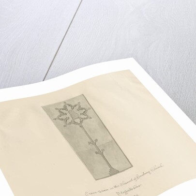 Hanbury Church - Gravestone: sepia drawing, 1839 by John Buckler