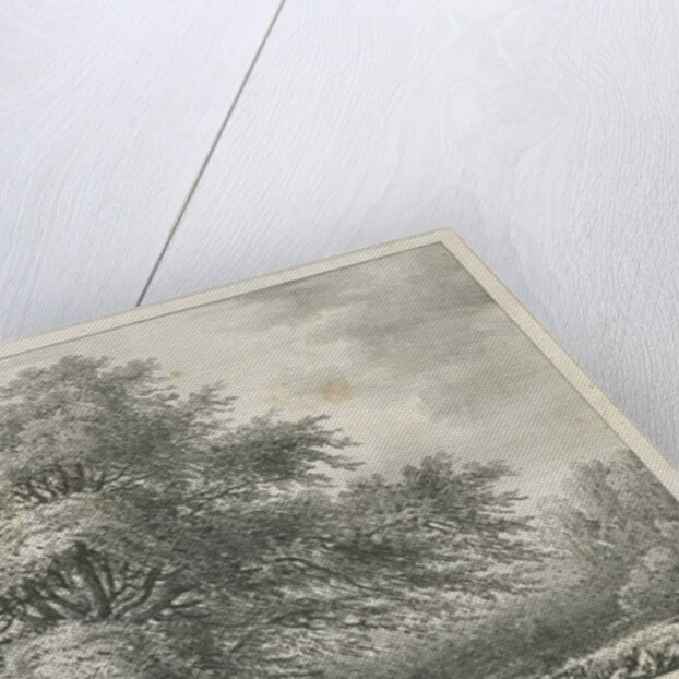 Lichfield - ['Dr. Johnson's'] Willow Tree: lithograph, nd [1789-1850] by Charles Joseph Hullmandel