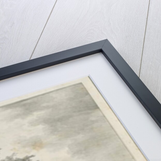 Lichfield - ['Dr. Johnson's'] Willow Tree: lithograph, nd [1789-1850] by Charles Joseph Hullmandel