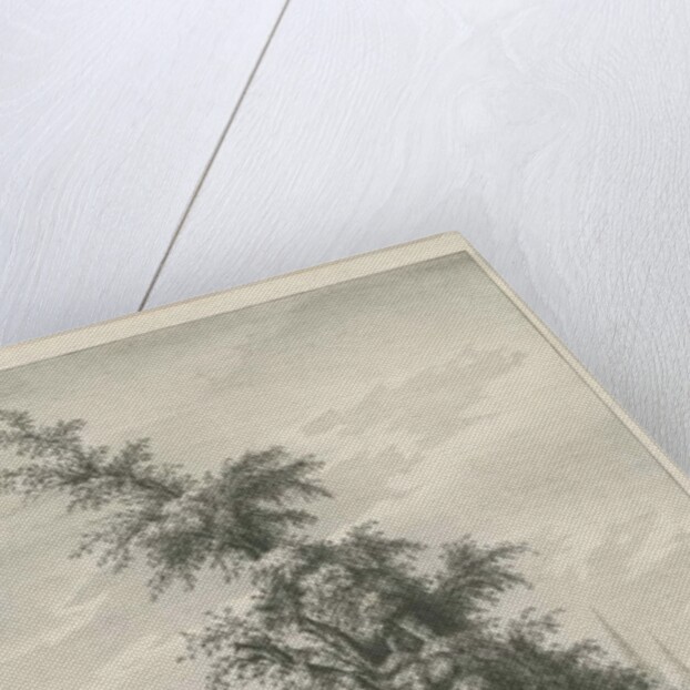 Lichfield - 'Dr. Johnson's' Willow Tree by Charles Joseph Hullmandel