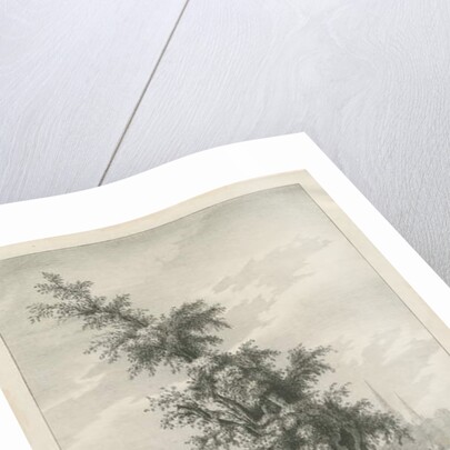 Lichfield - 'Dr. Johnson's' Willow Tree by Charles Joseph Hullmandel