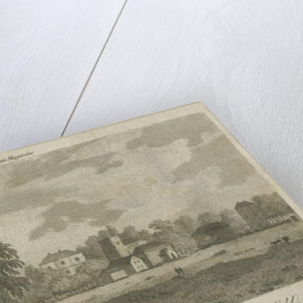 Lichfield - 'Dr. Johnson's' Willow Tree: engraving by Samuel Rawle