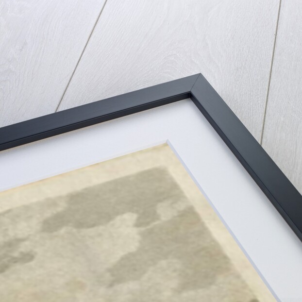 Lichfield - 'Dr. Johnson's' Willow Tree: engraving by Samuel Rawle