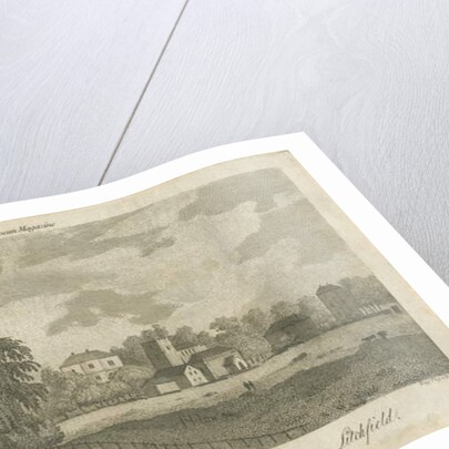 Lichfield - 'Dr. Johnson's' Willow Tree: engraving by Samuel Rawle