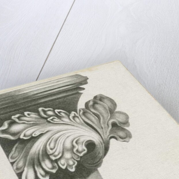 Interior of Lichfield Cathedral - Carved foliage: lithograph, nd [?19th cent] by Thomas Witlam Atkinson