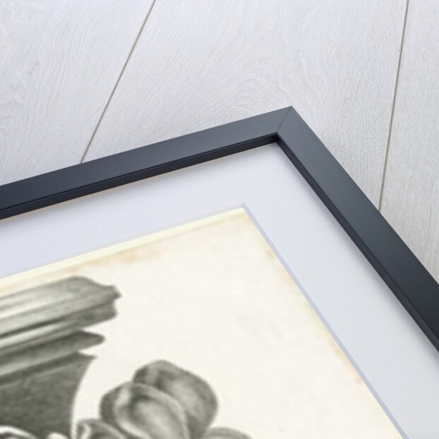 Interior of Lichfield Cathedral - Carved foliage: lithograph, nd [?19th cent] by Thomas Witlam Atkinson