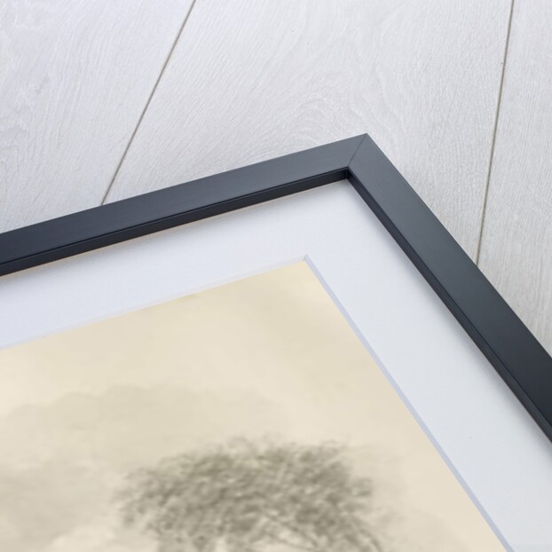 Shugborough - Temple of the Winds by John Buckler