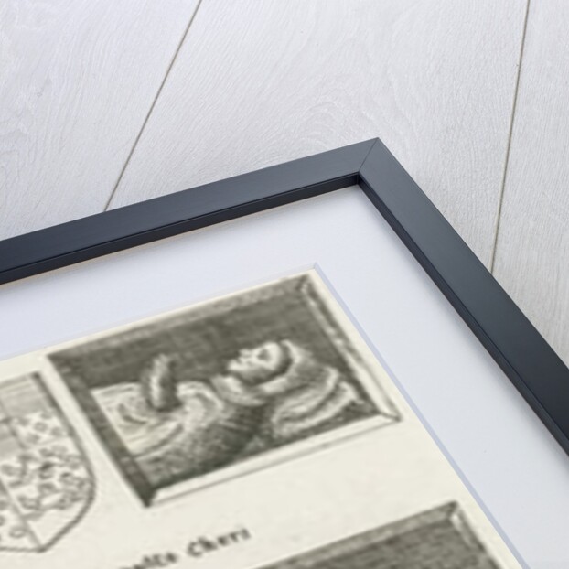 Lichfield Cathedral - Effigies: etching, [10 Dec 1795] by School English