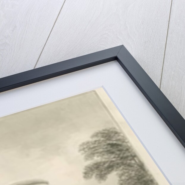 Shugborough Hall - Garden front by John Buckler