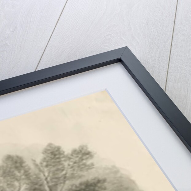 Shugborough - The Chinese Room by John Buckler