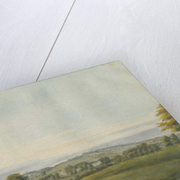 Vale of Shugborough by School English