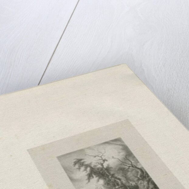 Himley Estate - 'Bagridge Wood' by Charles Joseph Hullmandel