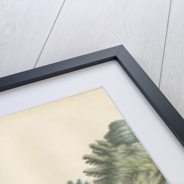 Hilton Hall by John Robert Fernyhough