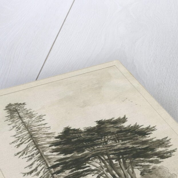 Haughton Rectory by Thomas Peploe Wood