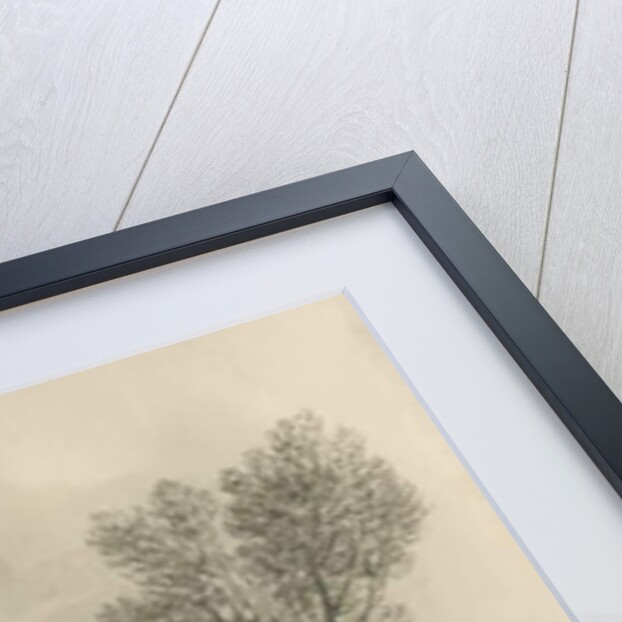 Stafford - Bridge at Bridgeford by John Buckler