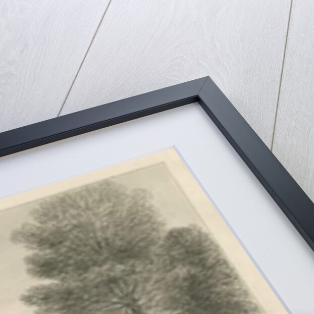 Pillaton Hall by John Chessell Buckler