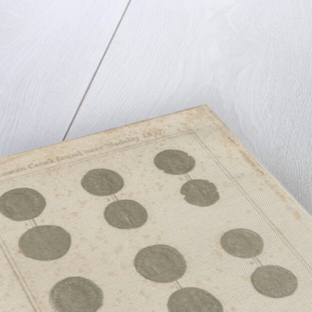 Madeley - Roman Coins by School English