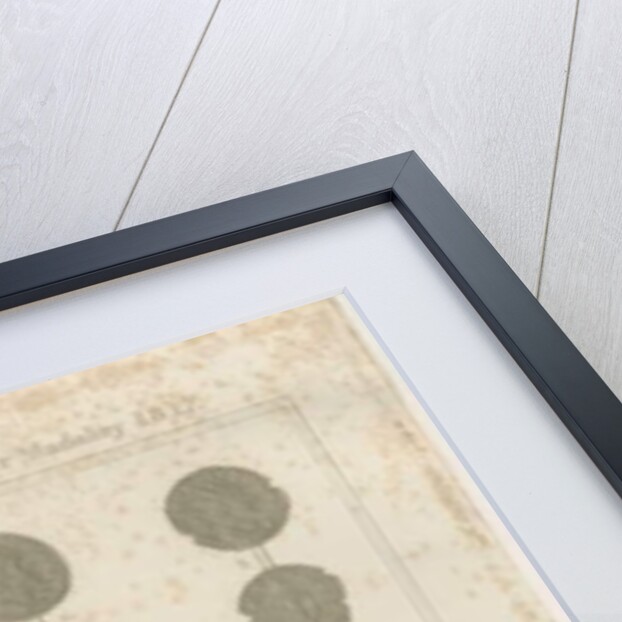 Madeley - Roman Coins by School English