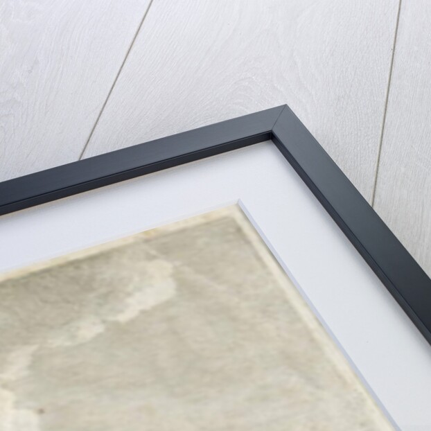 Ranton Abbey [Priory] by Stebbing Shaw