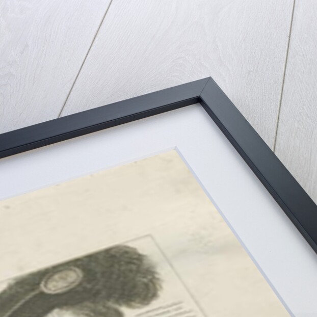 Hill Ridware - Portrait of Admiral Thomas Seymore, Lord Sudley by School English