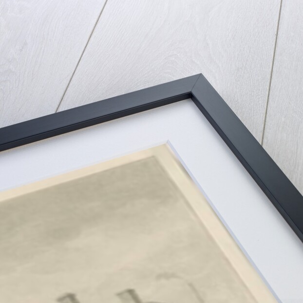 Newcastle-under-Lyme - Almshouses by John Buckler