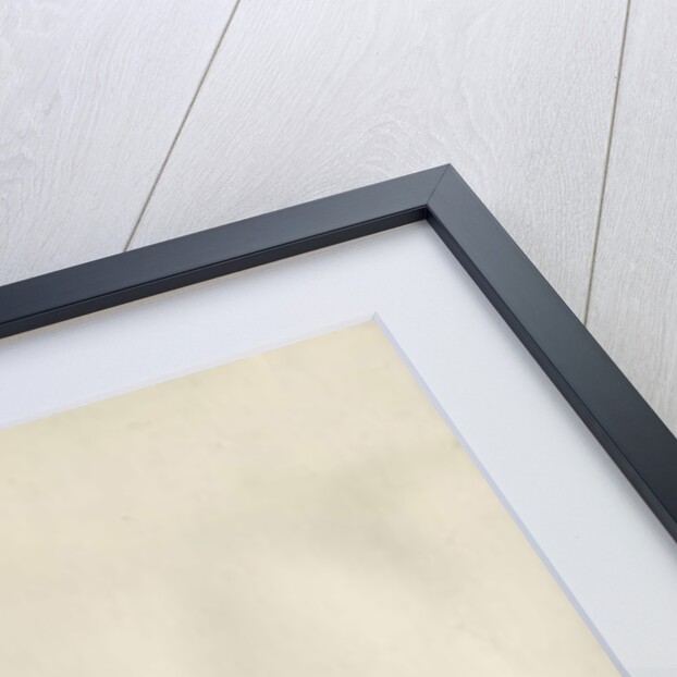 Stafford - Printing Office: wood cut engraving by School English