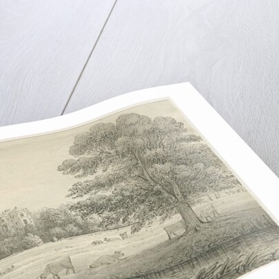 Hagley Hall by John Allport