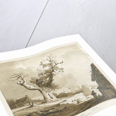 Norbury Village - 'The Norbury Elm' by Thomas Peploe Wood