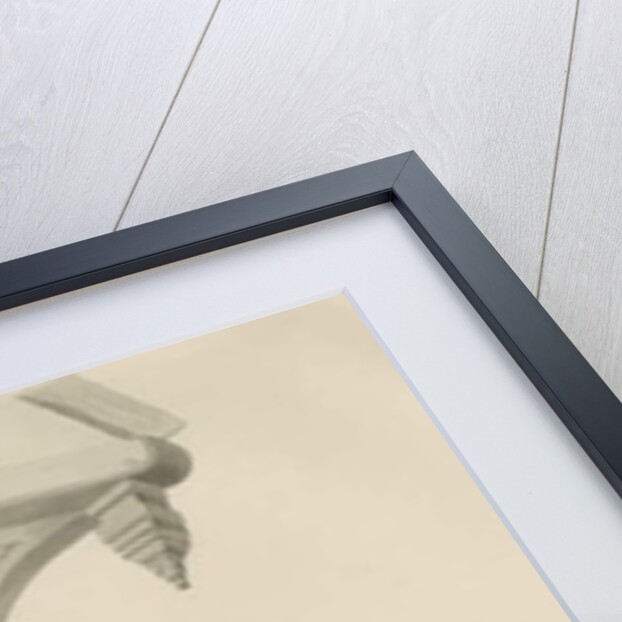 Stafford - Architectural details by School English