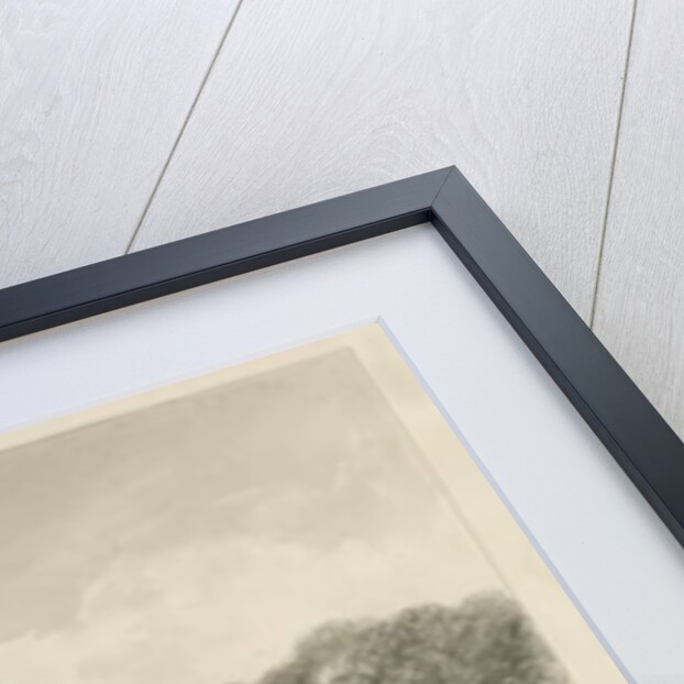 Hagley Hall by John Buckler